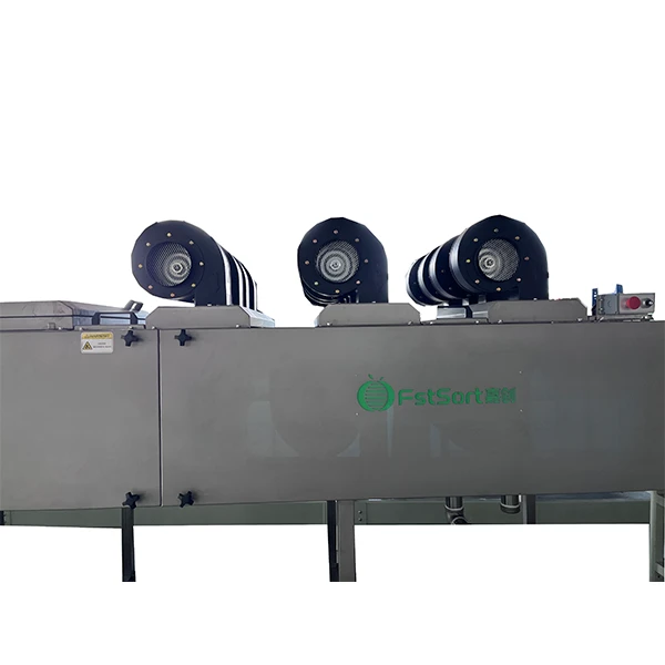 fruit blower machine